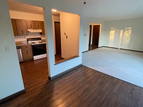 109 E Nebraska St #1, Frankfort, IL 60423