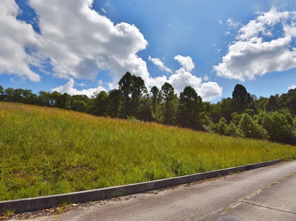 39 Birch St, Grafton, WV 26354