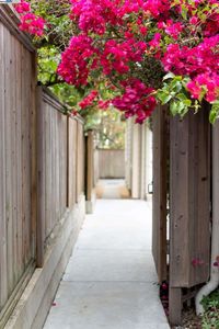 1532 Martin Luther King Jr Way #3, Berkeley, CA, 94709