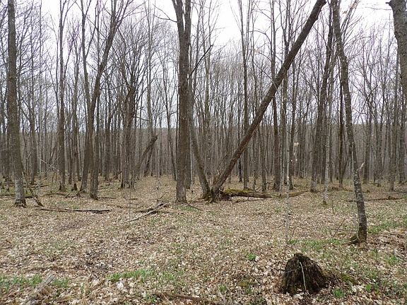 5th image of 4315 N Tower Road