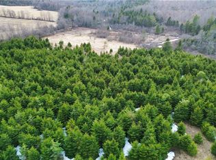 5 Burrell Rd Lot 17, Little Falls, NY 13365