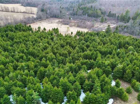 5 Burrell Rd Lot 17, Little Falls, NY 13365