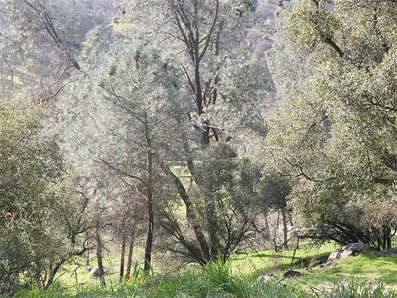 3rd image of 29732 Yosemite Springs Pr