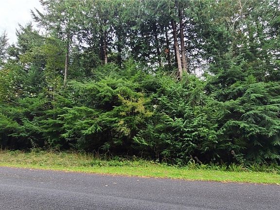 2nd image of 2703 Sandy Dr