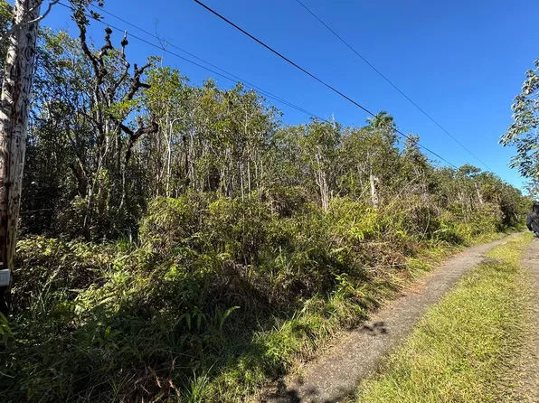 ROAD 5 (UAU), Mountain View, HI 96760