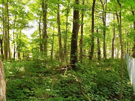 4th image of 00 Fincastle Ln