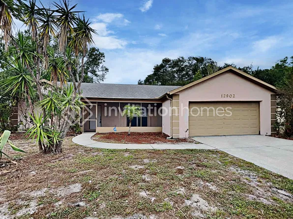12902 Leadwood Dr, Riverview, FL 33579