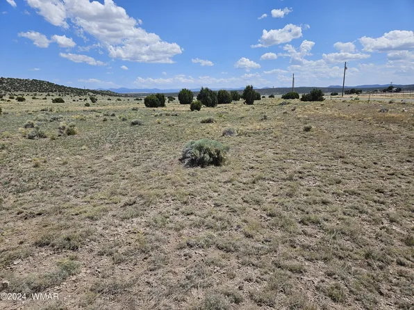8500/MESA Redondo Ranch Rd, Concho, AZ 85924
