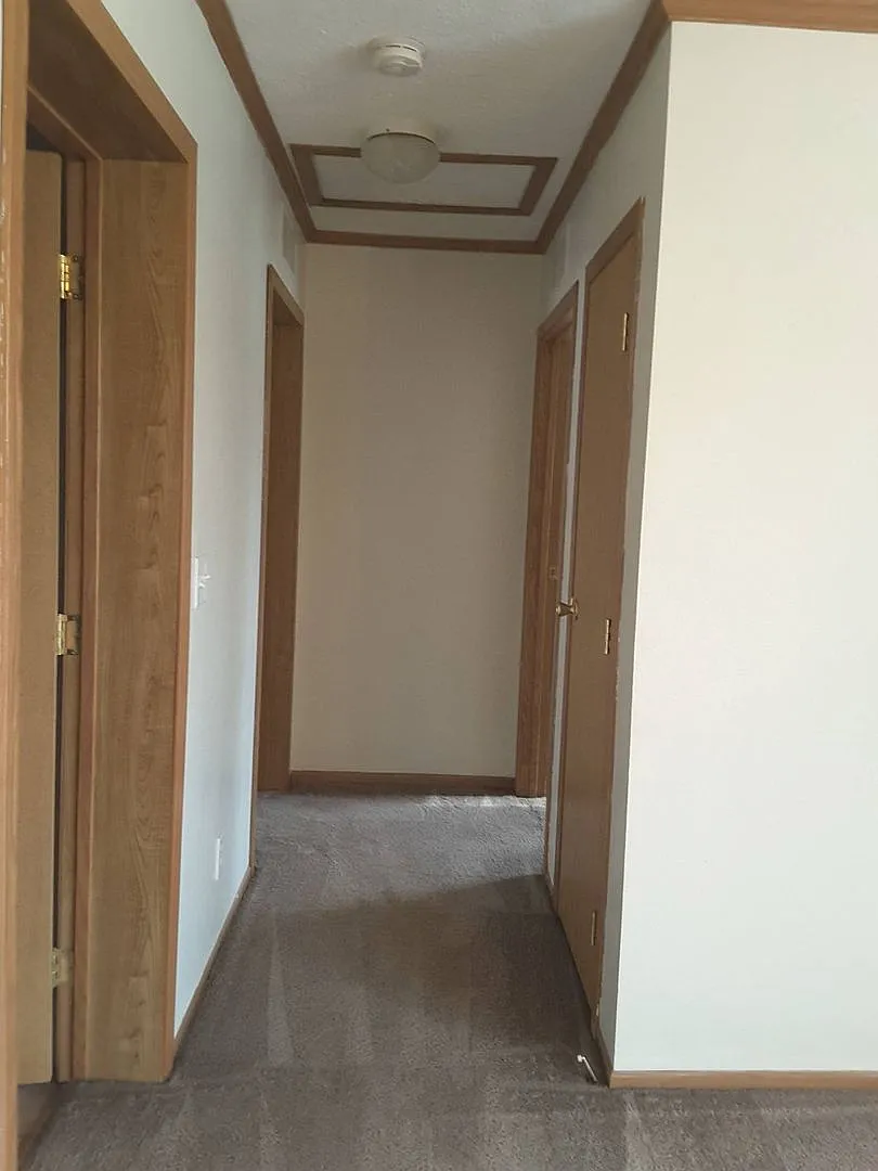 201 Olive St. — Photo 4