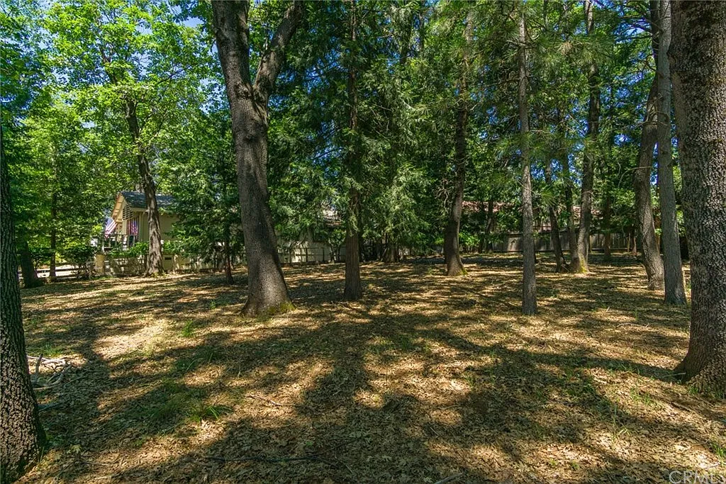 Simonson Ct photo 1