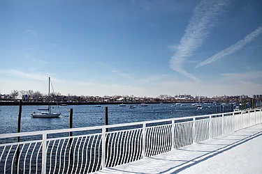 Rented by Bold New York