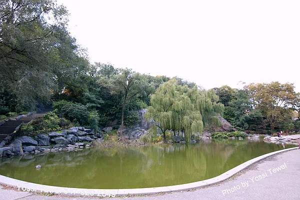 Rented by Uptown Flats LLC | media 9