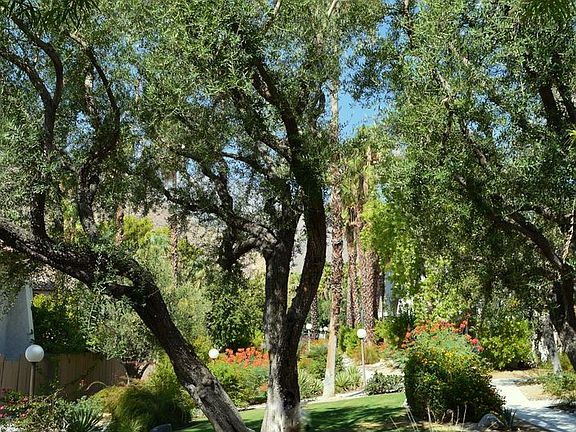 2nd image of 1826 N Mira Loma Way