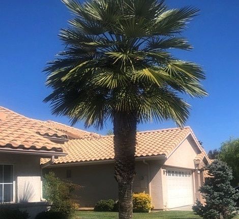 4th image of 5935 Warwick Hills Way