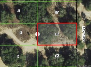 1011 Long Ave, Inverness, FL 34453