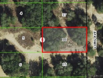 1011 Long Ave, Inverness, FL, 34453