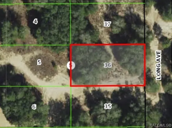 1011 Long Ave, Inverness, FL 34453