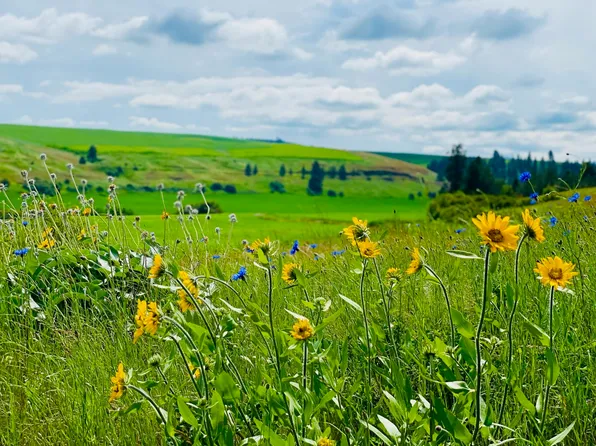 Nka Hays Rd Lot D, Spangle, WA 99031