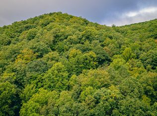 0 Paint Bank Rd, Paint Bank, VA 24131