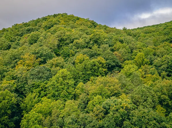 0 Paint Bank Rd, Paint Bank, VA 24131