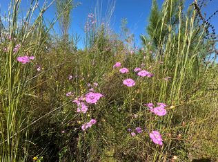 PARCEL Millside Rd #H, Laurel Hill, FL 32567