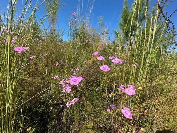 PARCEL Millside Rd #H, Laurel Hill, FL 32567