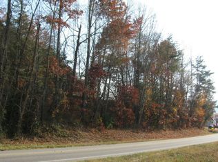 9919 Highway 75 N, Helen, GA 30545