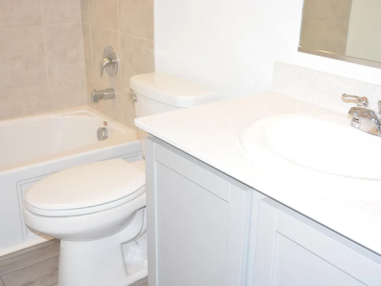 11612 E Silver Queen Dr — Photo 15