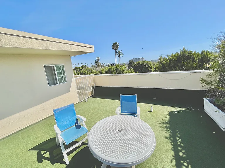 Royal Palm — Photo 14