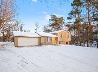 339 S Vine St, Stanton, MI 48888