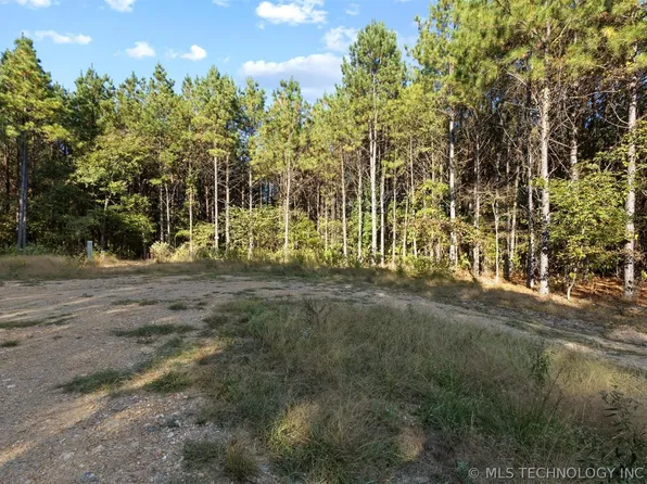 134 Wolf Tree Trl, Broken Bow, OK 74728