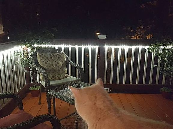 Back Deck Lighted