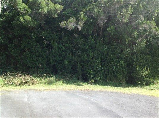 4th image of E Kaohelo Pl Lot 362