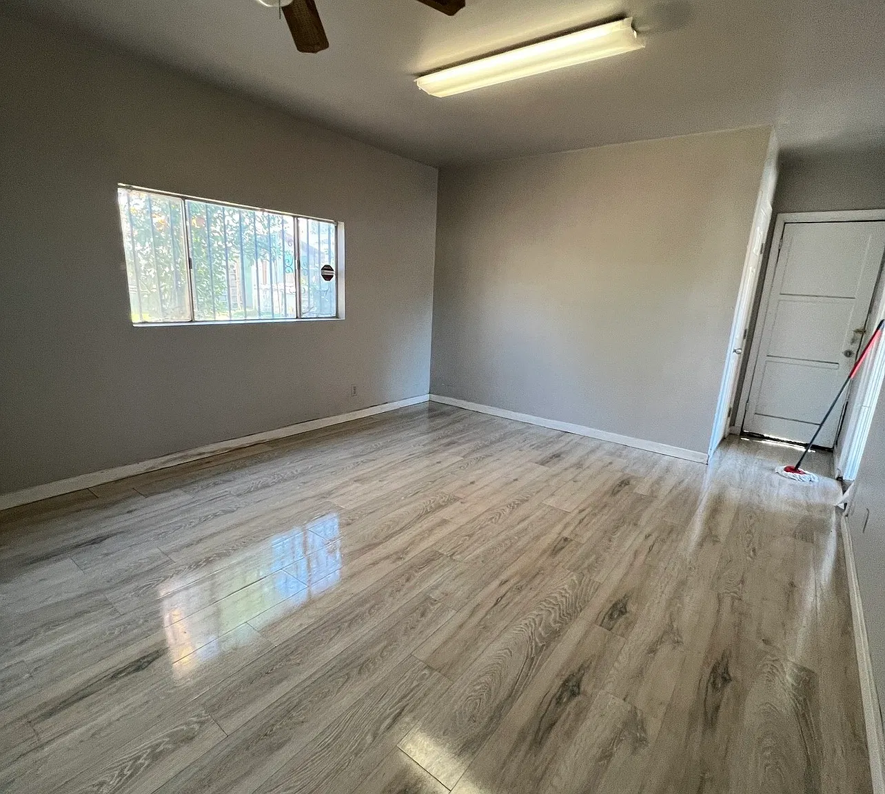 Studio, $900 — Photo 1