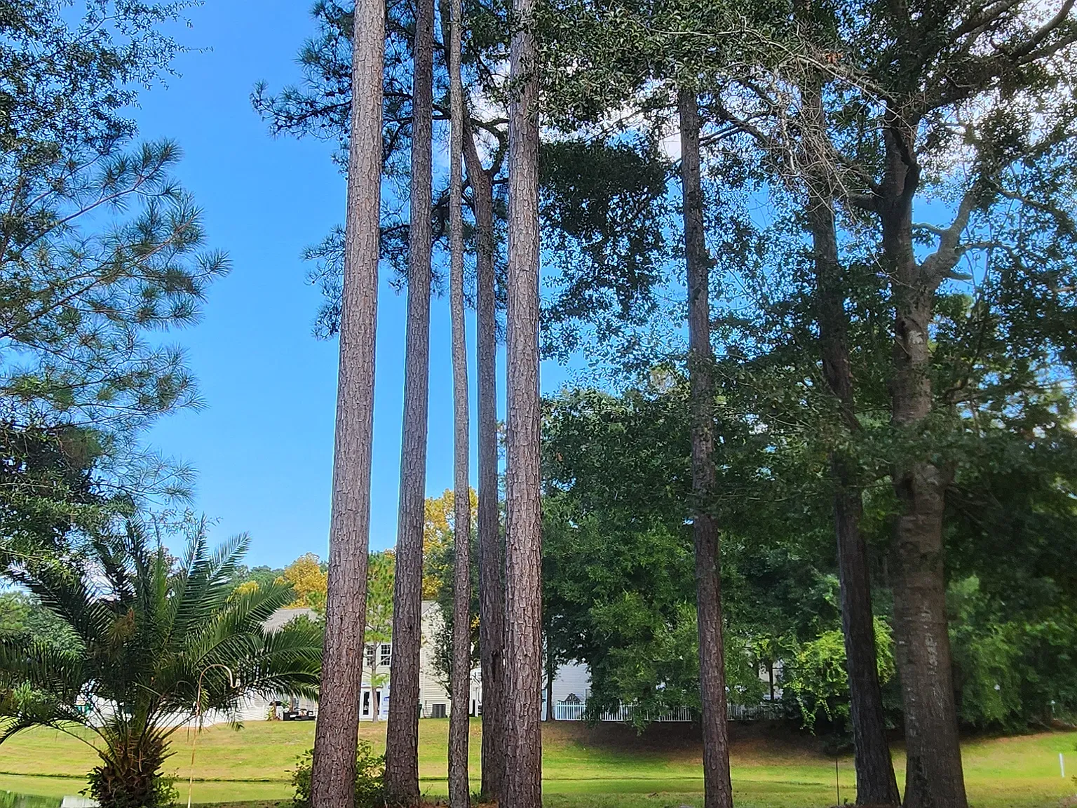 4 bed, 1680 sqft, $2,900 — Photo 4