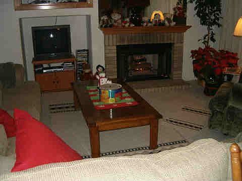 Family Room w/Gas Log Fireplace