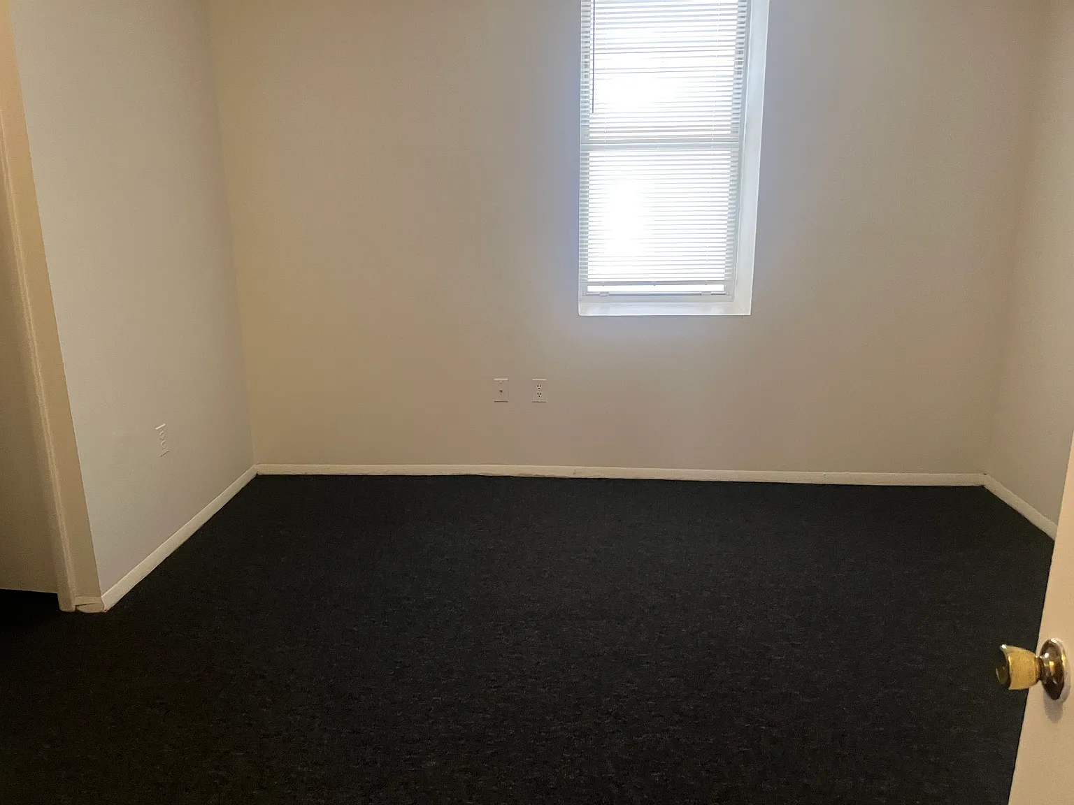 330 Bainbridge St — Photo 4