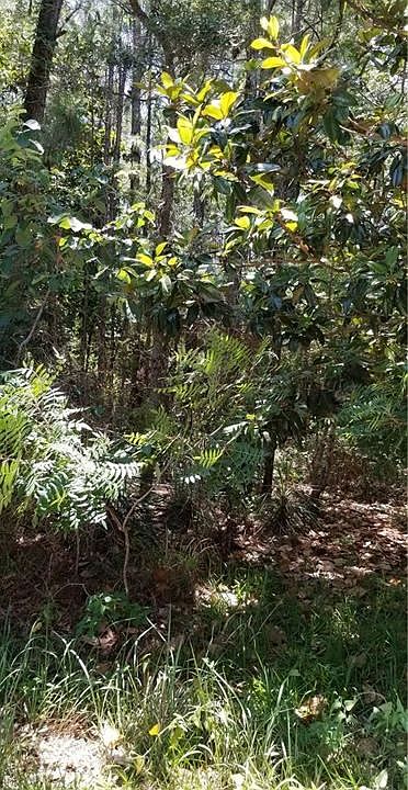 1st image of 603 General Ledbetter Pl