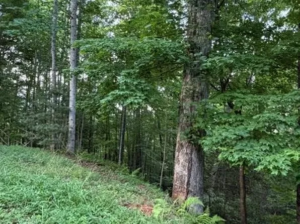 59 Quiet Mountain Trl, Murphy, NC 28906