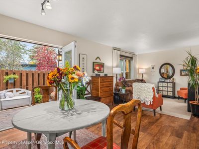 621 S 2nd St APT U, Carbondale, CO, 81623