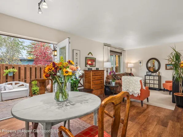 621 S 2nd St APT U, Carbondale, CO 81623