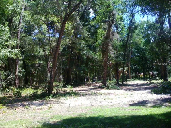 810 Teal Wing Dr, Orange City, FL 32763