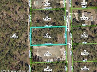 13111 Mottled Duck Rd, Weeki Wachee, FL 34614