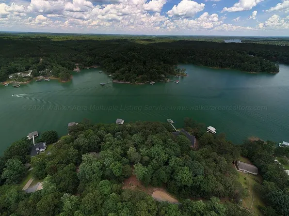 LOT 11 Dismal Dr, Arley, AL 35541