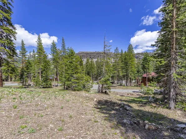 33795 Danburg Dr, Pioneer, CA 95666
