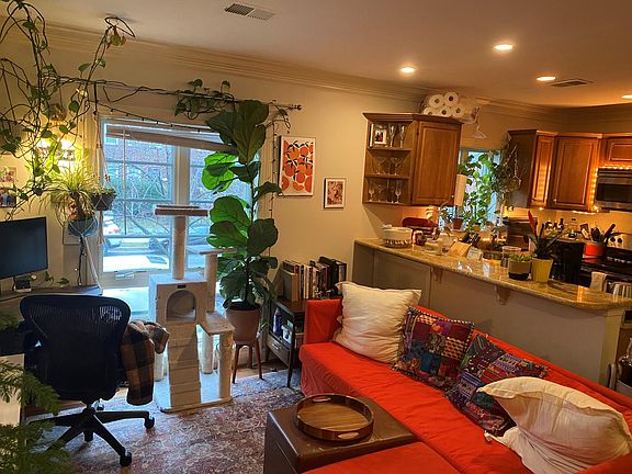 3rd image of 1219 Oronoco St #201