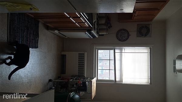 20150308_100958