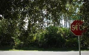 3rd image of 17 Farver Ln