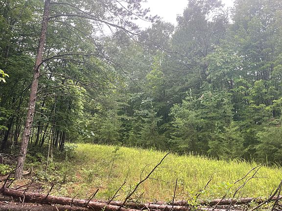 3rd image of Tracts 8a & 8b Tolers Ferry Rd