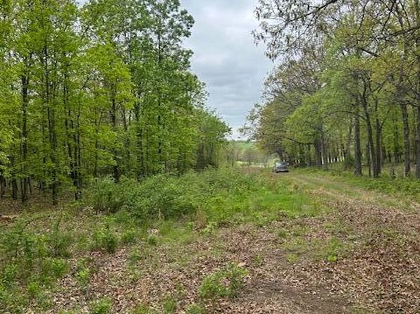 232 N Dade 175, Greenfield, MO 65661